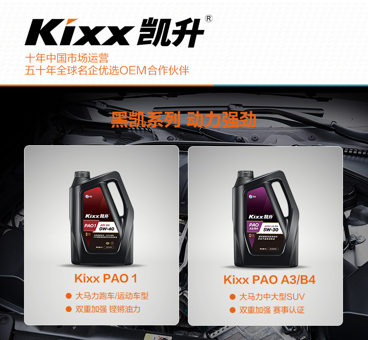 GS (Kixx) 凱升PAO全合成機(jī)油 5W-40 C3級 黑凱系列 4L-第9張圖片-鄭州市冠恒貿(mào)易有限公司【官方網(wǎng)站】-車用潤滑油服務(wù)專家